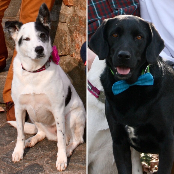 Meet your Posher, Meagan - Picture 4 of 4